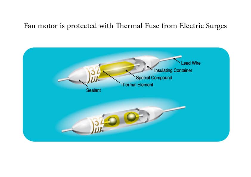 Thermal Fuse