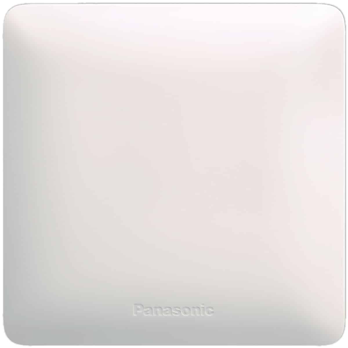 1G Blank Switch Plate