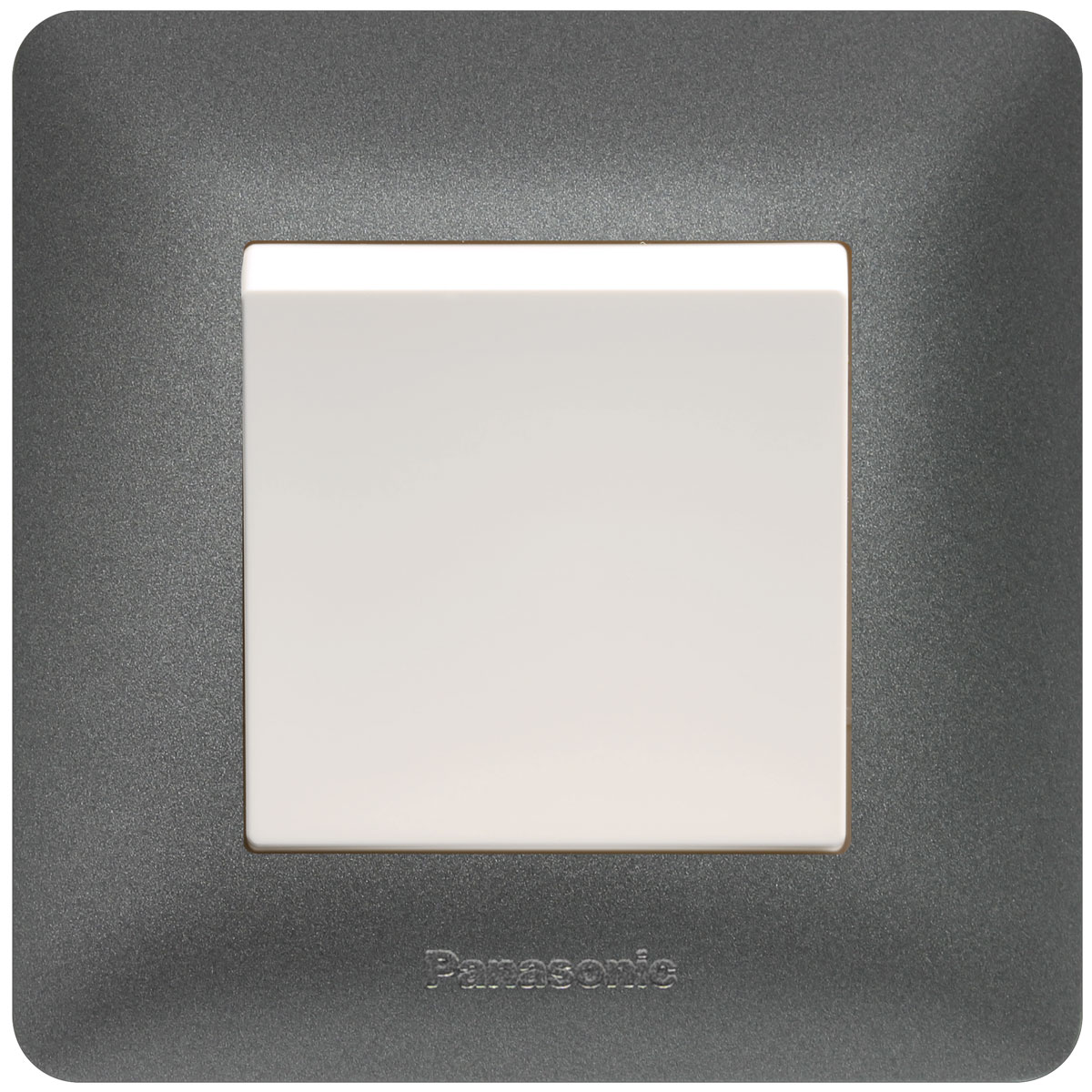 1G 2-WAY SP SWITCH, 10AX 250V AC