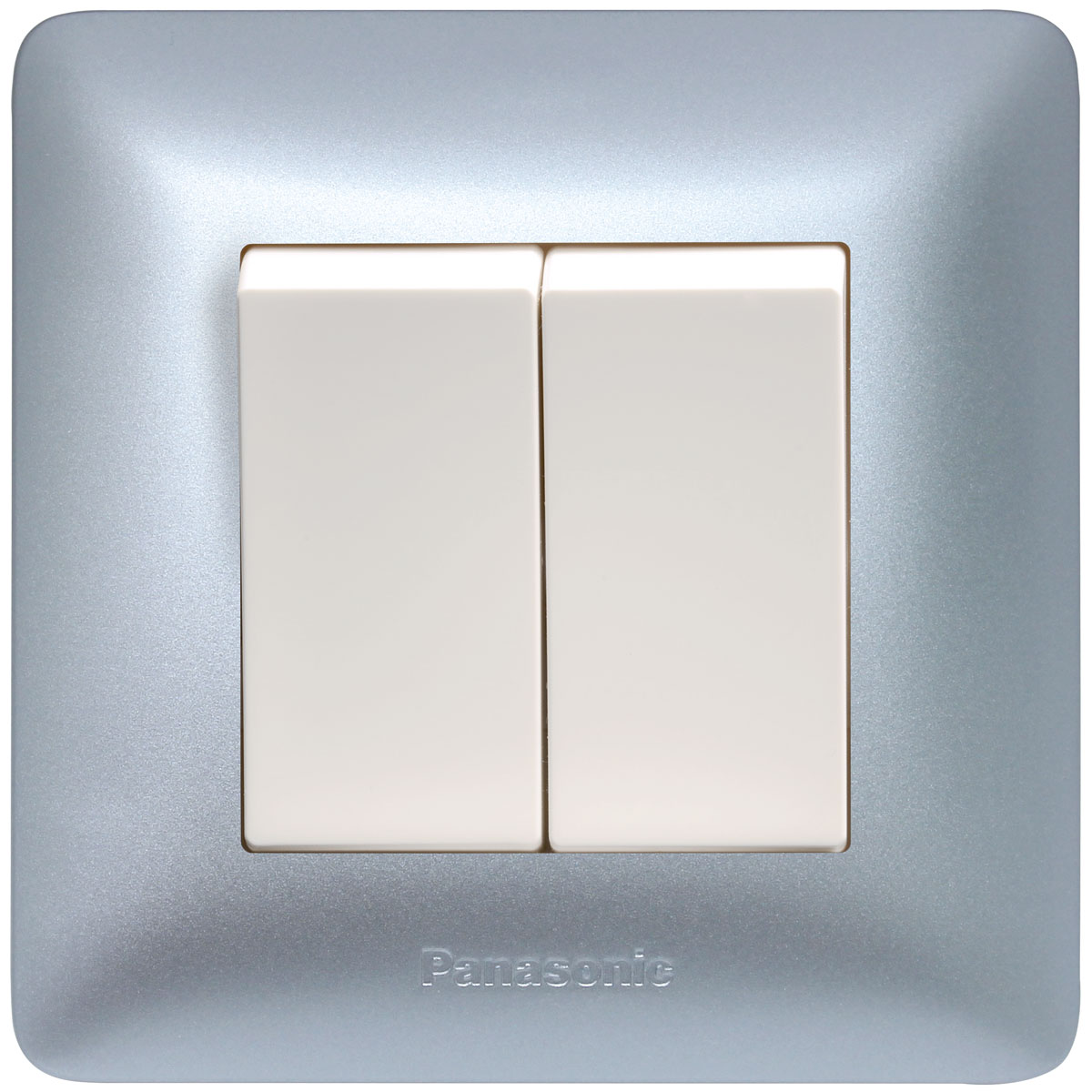 2G 2-WAY SP SWITCH