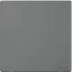 Simon 1G Blank cover Plate M3 Color-6K