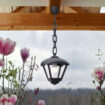 sicar-dario Sicar-Dario Hanging Light